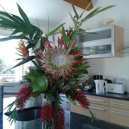 Maison De Reve Dans Un Ecrin De Verdure Au Calme * Eccica-Suarella (Corsica)