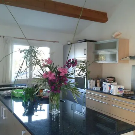 Maison De Reve Dans Un Ecrin De Verdure Au Calme Villa Eccica-Suarella (Corsica)