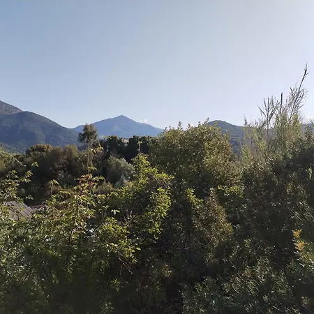 Maison De Reve Dans Un Ecrin De Verdure Au Calme Eccica-Suarella (Corsica)