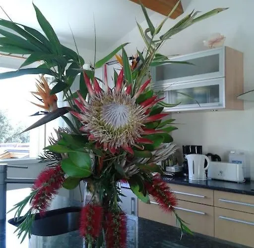 Maison De Reve Dans Un Ecrin De Verdure Au Calme * Eccica-Suarella (Corsica)