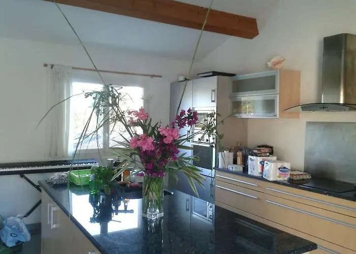 Maison De Reve Dans Un Ecrin De Verdure Au Calme Vila Eccica-Suarella (Corsica)