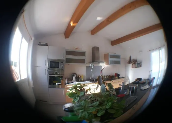 Villa Maison De Reve Dans Un Ecrin De Verdure Au Calme